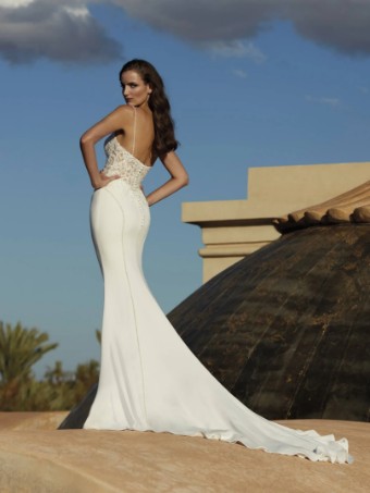 Pronovias #1 thumbnail